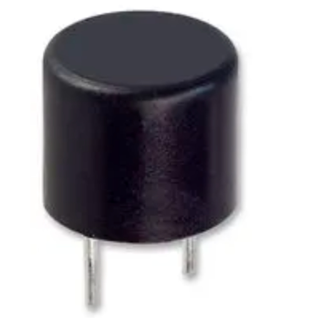 BBAtechniek - Print zekering 315mA 250V Slow Blow (1x)