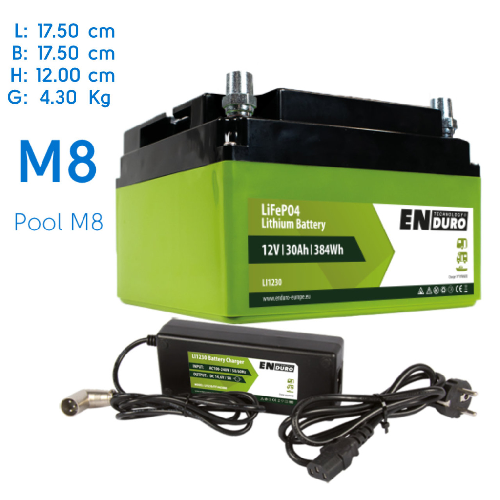 Mover Batterie Enduro LI1230 Lithium-Ionen 30A in Düsseldorf