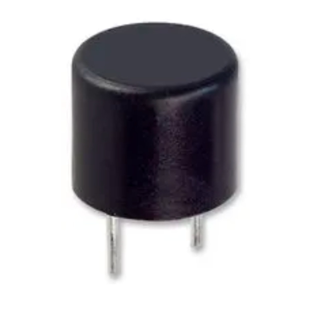 BBAtechniek - Printzekering 1A 250V Slow Blow (1x)