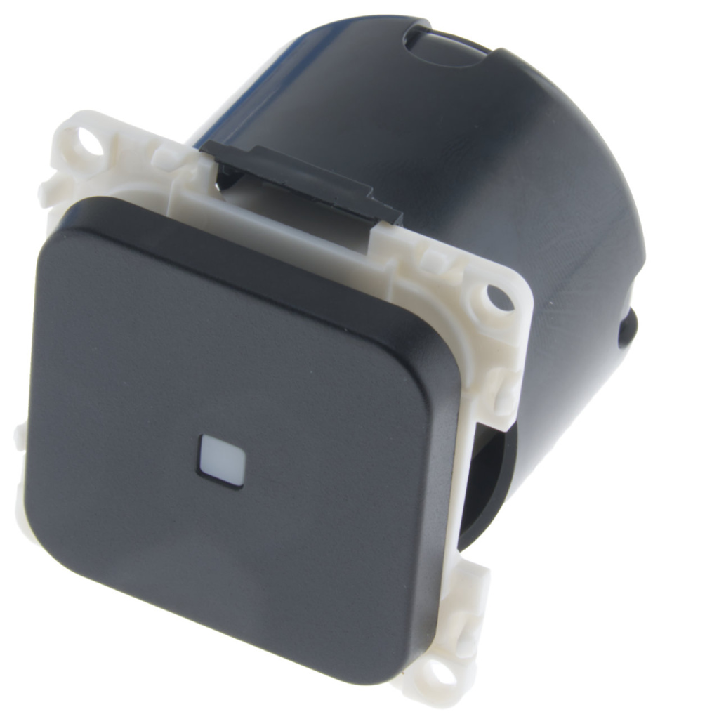 BBAtechniek - S 30.000 controleschakelaar 12V zwart (1x)